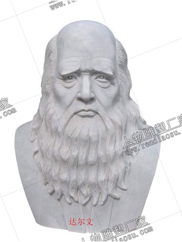 达尔文石雕像